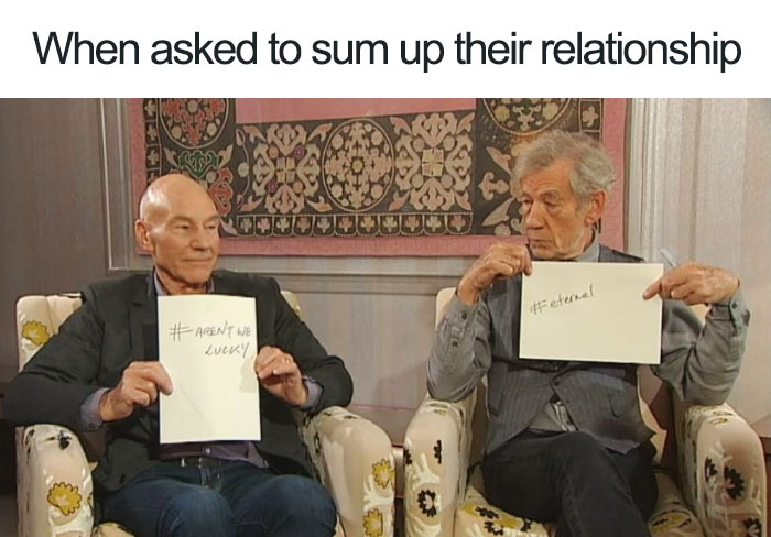 Illustration de l'article : 20 photos mettant en valeur la complicité entre Patrick Stewart et Ian McKellen
