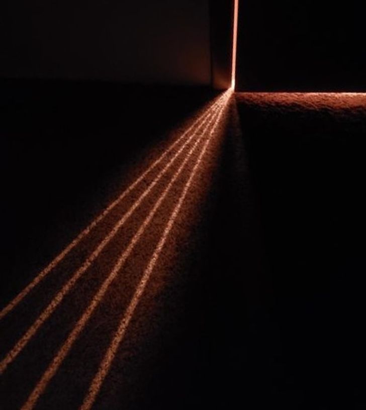 Illustration de l'article : Ces 20 situations dignes d'exp&eacute;riences scientifiques