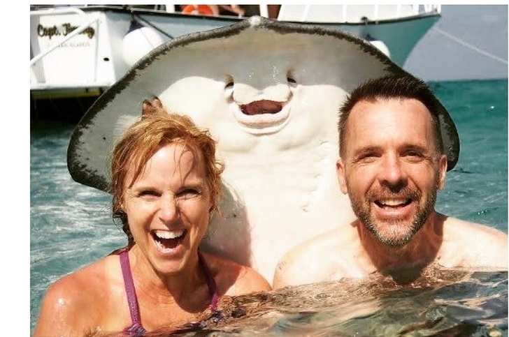 Illustration de l'article : Ces 19 photos décalées prises en vacances pour des moments réussis