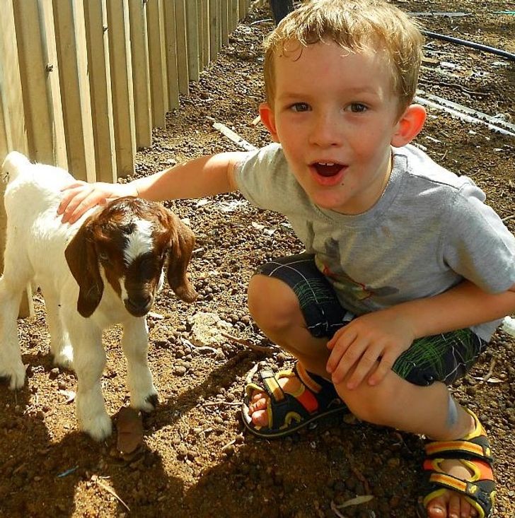 Illustration de l'article : Ces 20 photos qui montrent que certaines personnes adorent l'humour