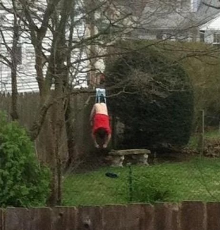 Illustration de l'article : Ces 16 curiosités montrent la folie du monde qui nous entoure