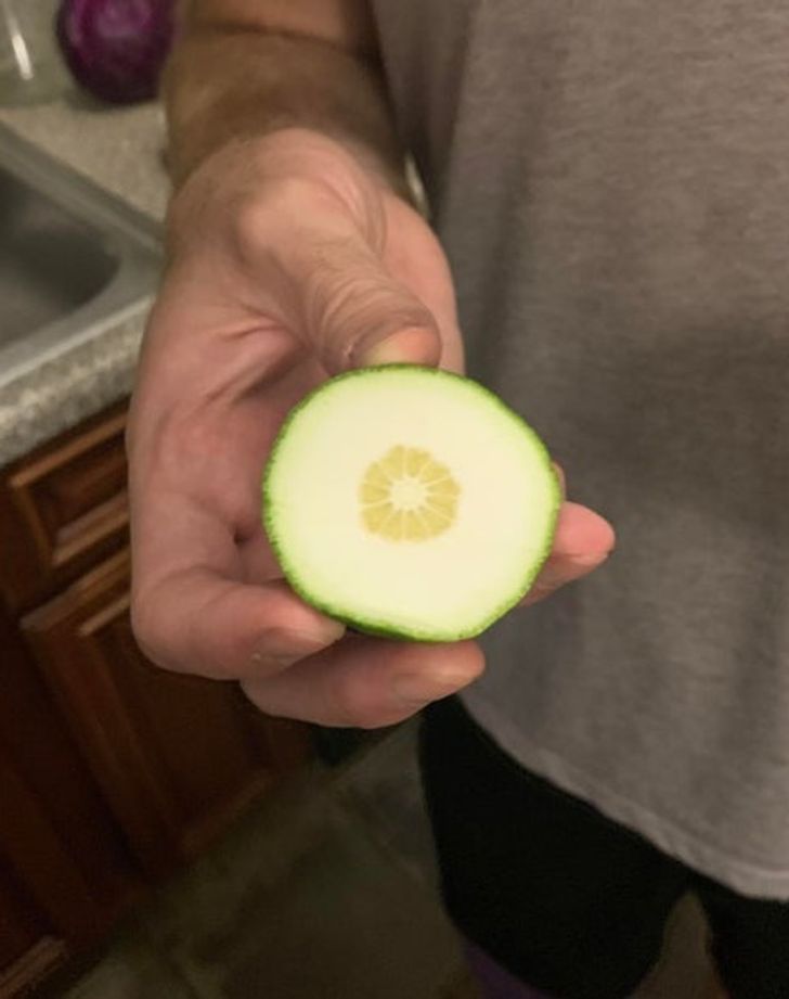 Illustration de l'article : Ces 17 photos qui montrent que tout ne se passe pas toujours comme prévu