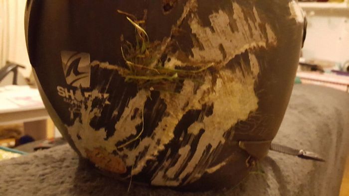 Illustration de l'article : 51 photos qui montrent que porter un casque est indispensable si l'on tient &agrave; la vie