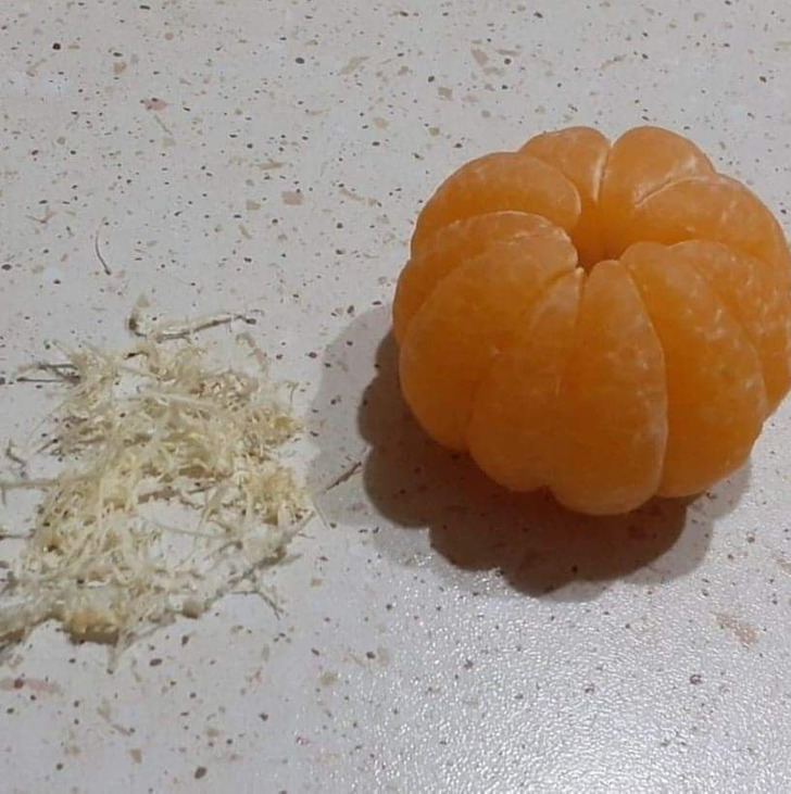 Illustration de l'article : Ces 18 photos de situations satisfaisantes prises au bon moment