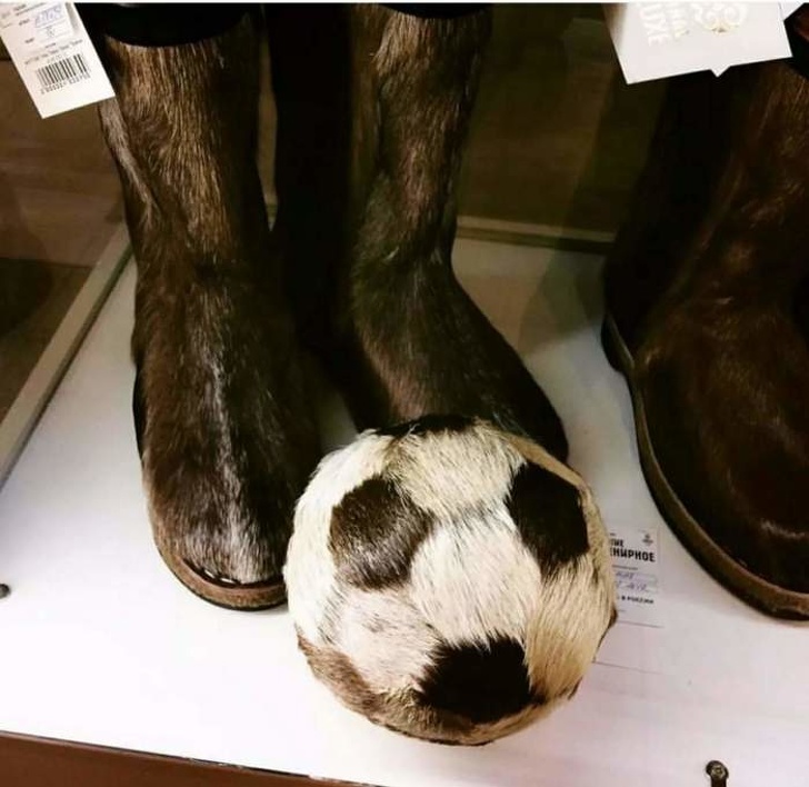 Illustration de l'article : Ces 14 curiosités étranges rencontrées dans la rue ou dans des événements