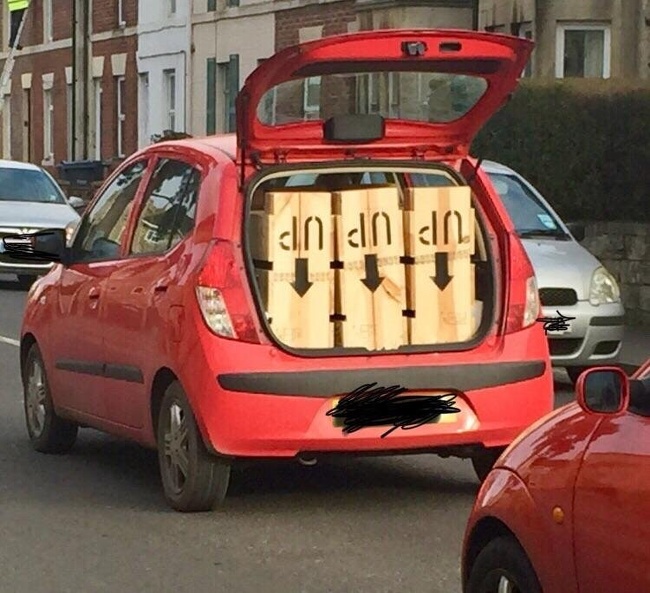 Illustration de l'article : Ces 24 personnes n’avaient pas envie de travailler ce jour-là