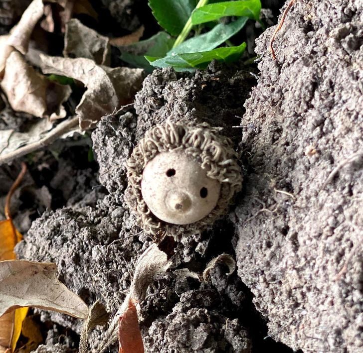 Illustration de l'article : Ces 17 personnes qui voient des visages là où il n'y en a pas