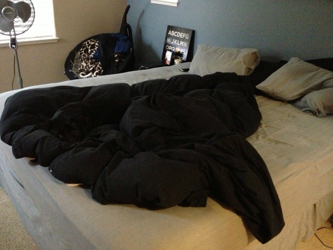 Illustration de l'article : 24 personnes ayant découvert des choses improbables dans leurs maisons