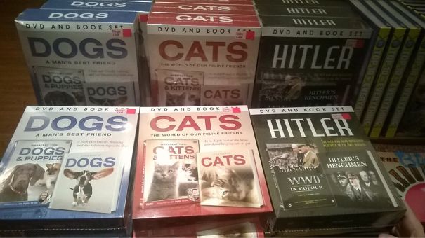 Illustration de l'article : Qui a vraiment le niveau pour trouver l'intrus sur ces 100 photos ? 