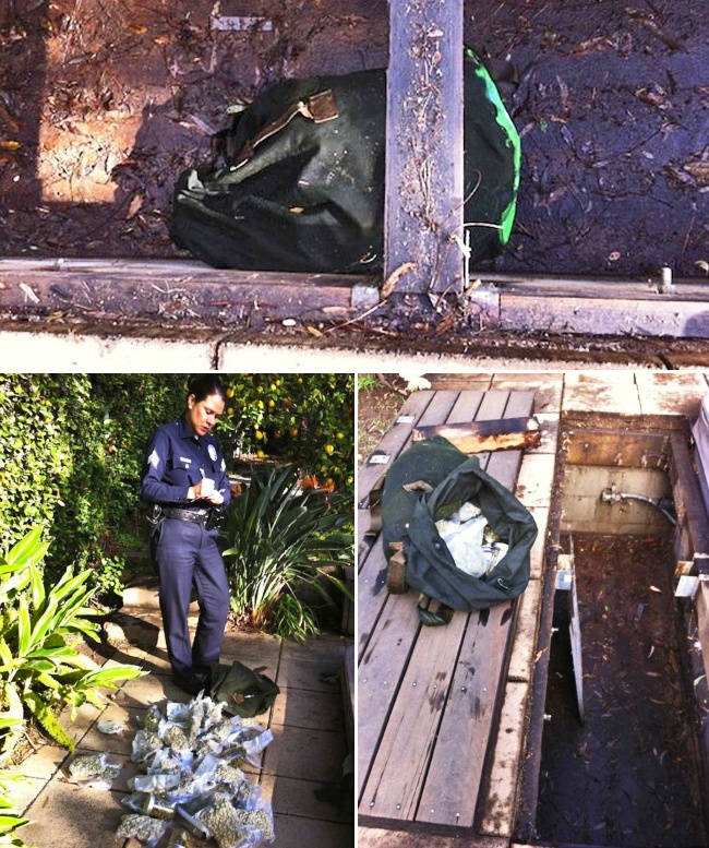 Illustration de l'article : 10 choses totalement hallucinantes que des gens ont retrouv&eacute; dans leur jardin 