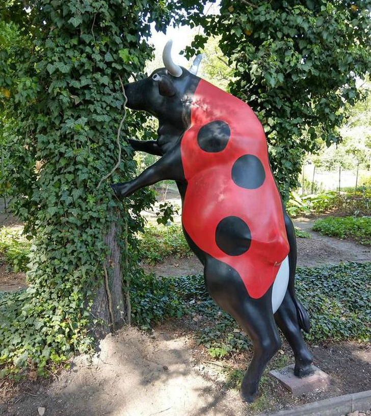 Illustration de l'article : Ces 15 situations étranges rencontrées dans la vie quotidienne