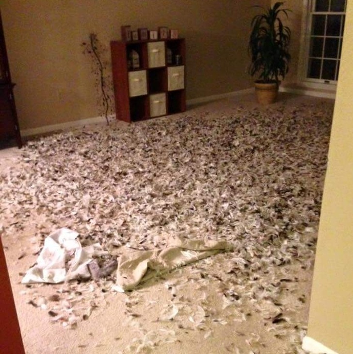 Illustration de l'article : Ces 18 photos qui remettent en cause des plans prévus