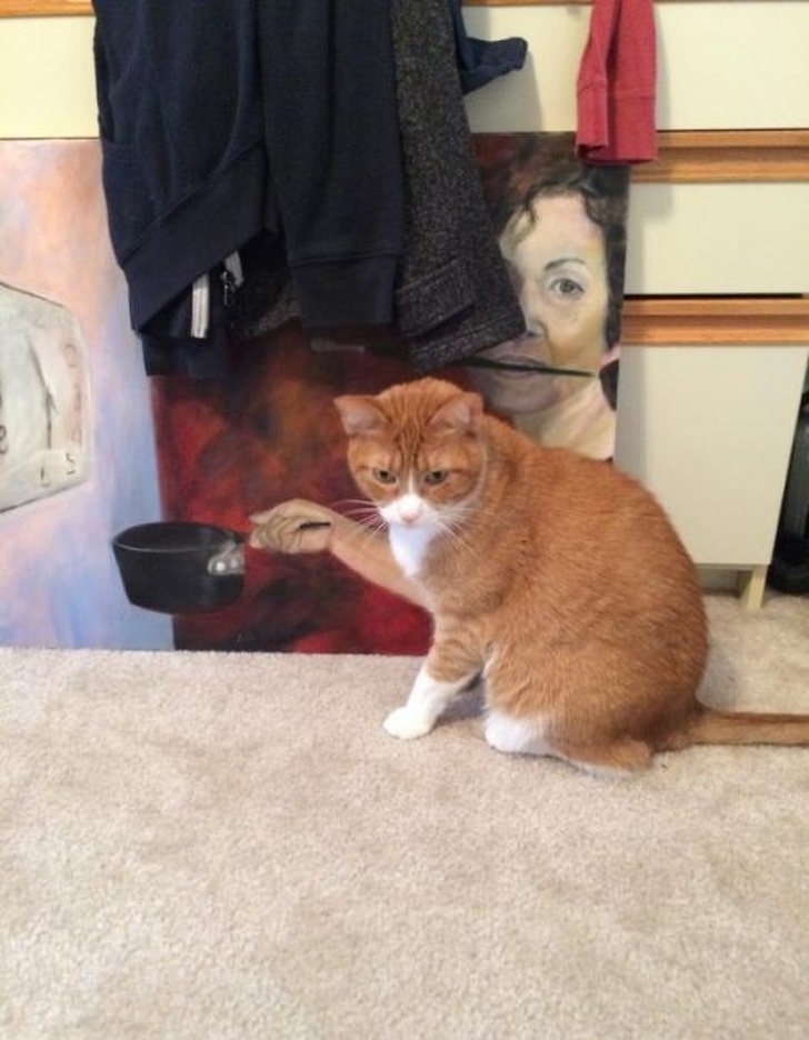 Illustration de l'article : Ces 21 photos qui semblent montrer autre chose