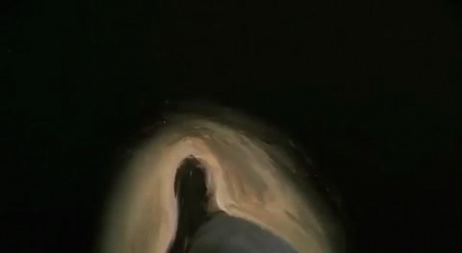 Illustration de l'article : 10 secrets cach&eacute;s dans les logos des films hollywoodiens 