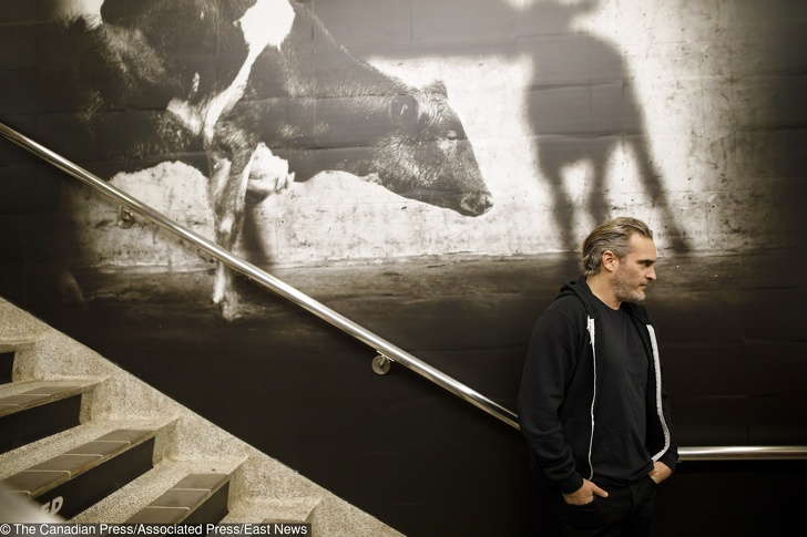 Illustration de l'article : Ces 15 anecdotes sur Joaquin Phoenix, la star du film Joker