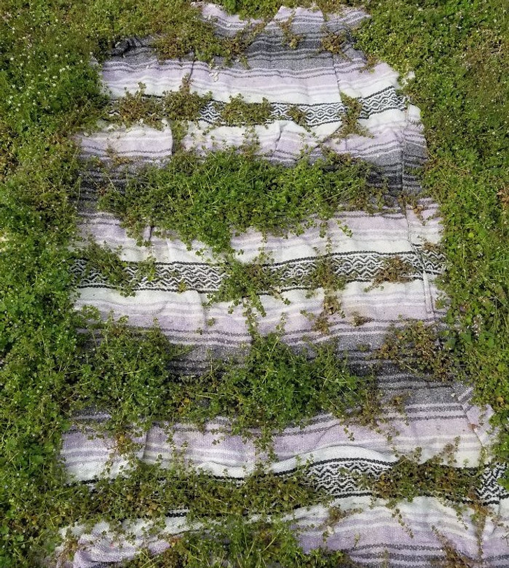 Illustration de l'article : Ces 18 photos qui illustrent les merveilles de Dame Nature