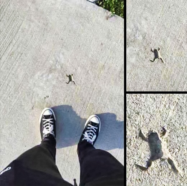 Illustration de l'article : Ces 21 choses que l’on ne voit pas souvent