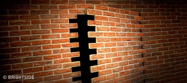 Illustration de l'article : 10 trésors extraordinaires découverts par accident