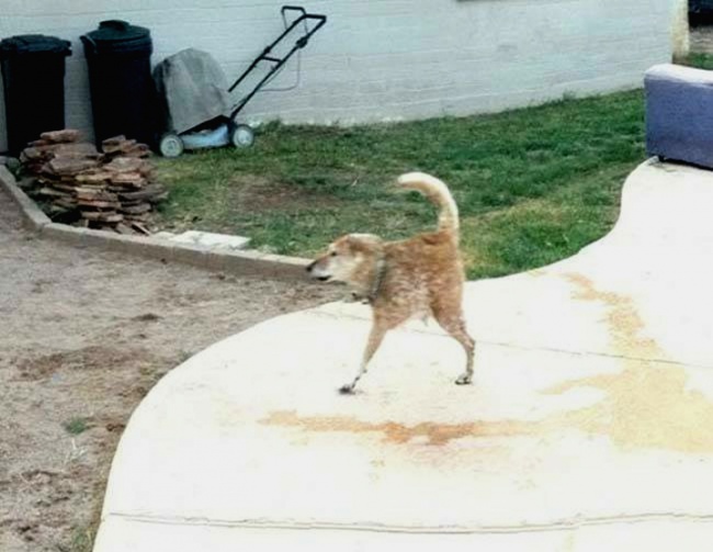 Illustration de l'article : 21 photos rat&eacute;es prises avec le mode panoramique de vos smartphones