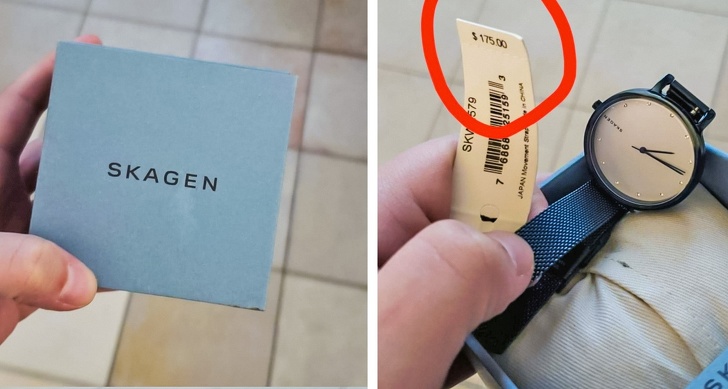 Illustration de l'article : Ces 22 tr&eacute;sors retrouv&eacute;s dans une poubelle