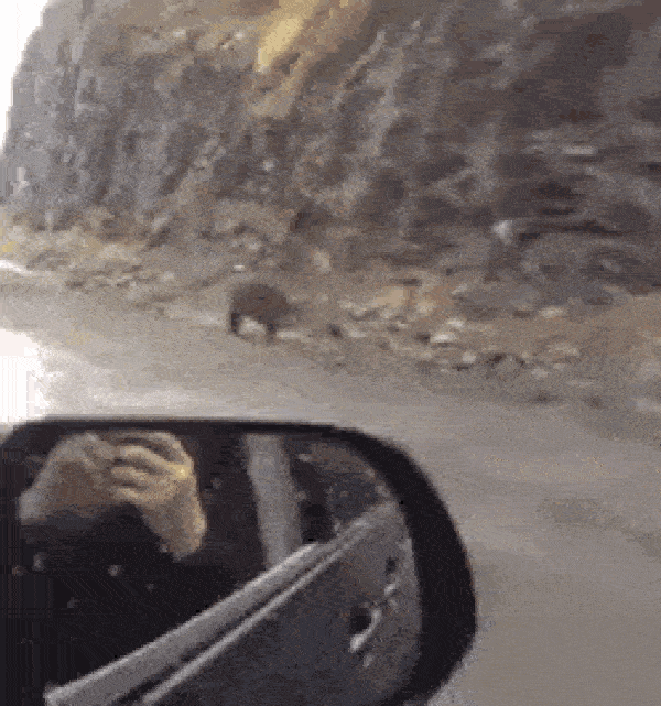 Illustration de l'article : Ces 27 choses rares mais qui ont existé un jour