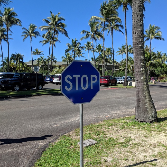 Illustration de l'article : Ces 14 photos de choses étranges et inhabituelles