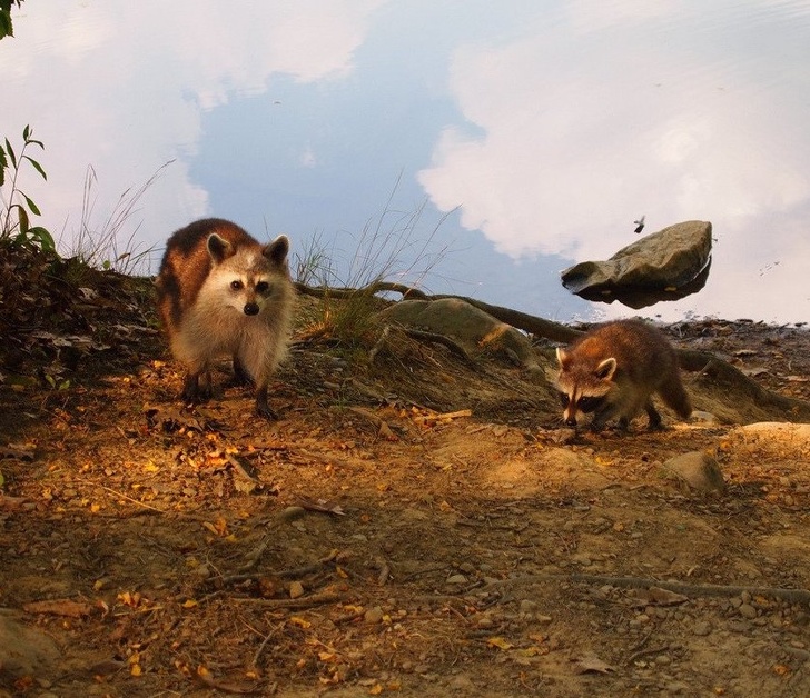 Illustration de l'article : Ces 18 visions légèrement modifiées par la perspective