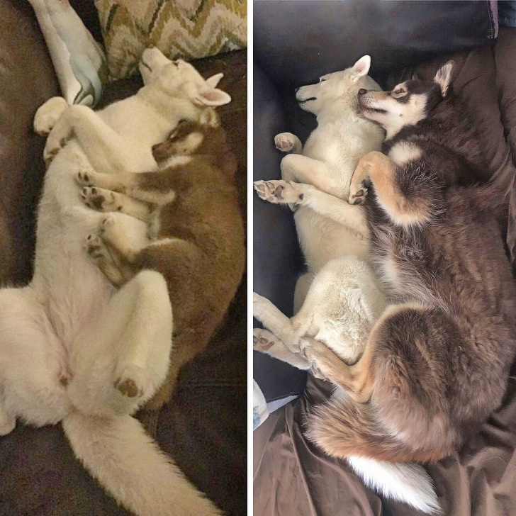 Illustration de l'article : Ces 24 photos o&ugrave; le temps n'a eu que peu d'effet