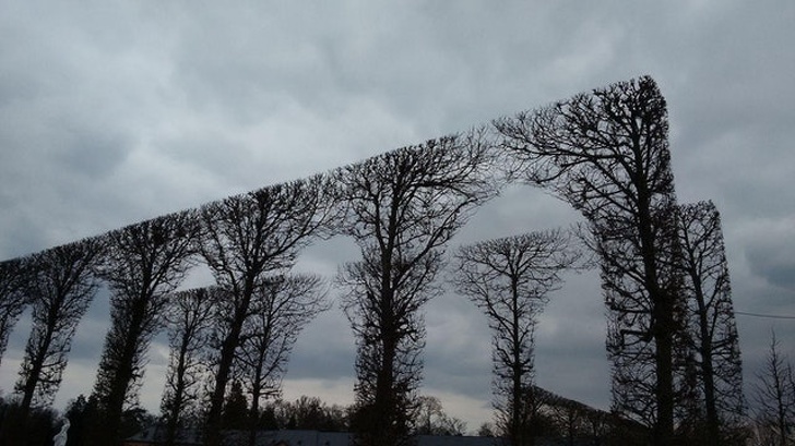 Illustration de l'article : Ces 21 photos qui feront plaisir à tous les perfectionnistes