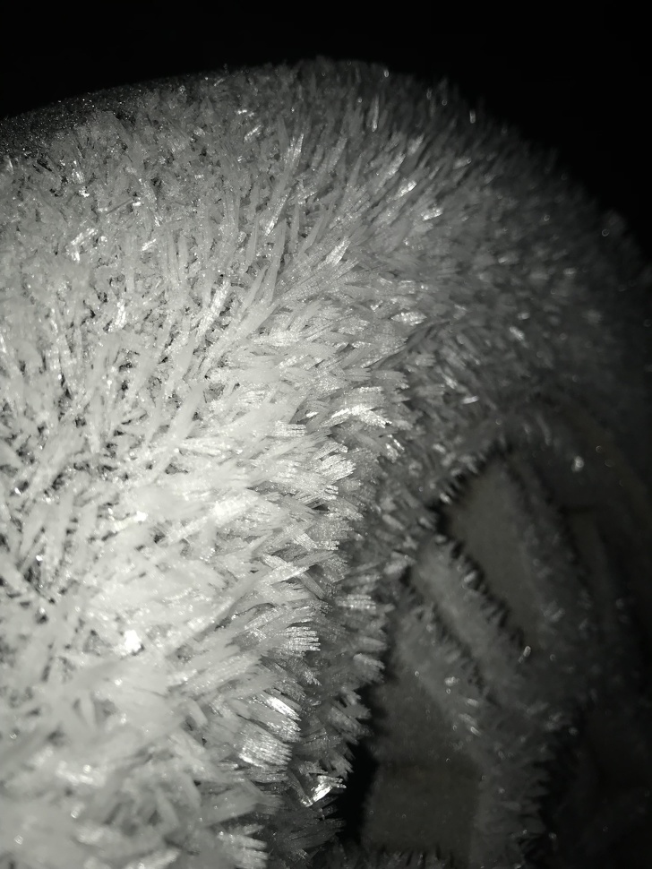 Illustration de l'article : Ces 21 photos de faits ou de curiosités rares