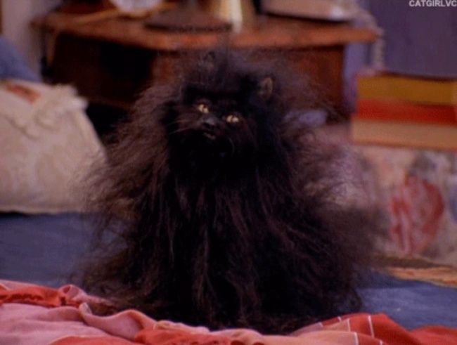 Illustration de l'article : 18 choses que les hommes ne peuvent pas comprendre