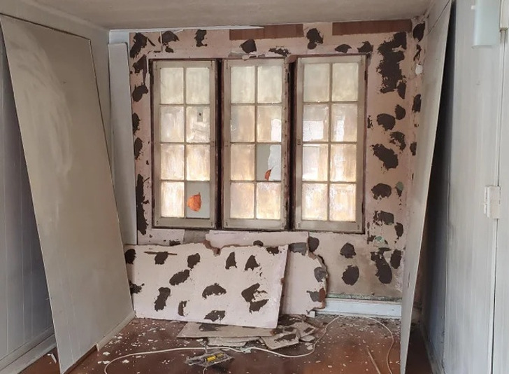 Illustration de l'article : Ces 20 photos de tr&eacute;sors d&eacute;couverts lors de r&eacute;novations