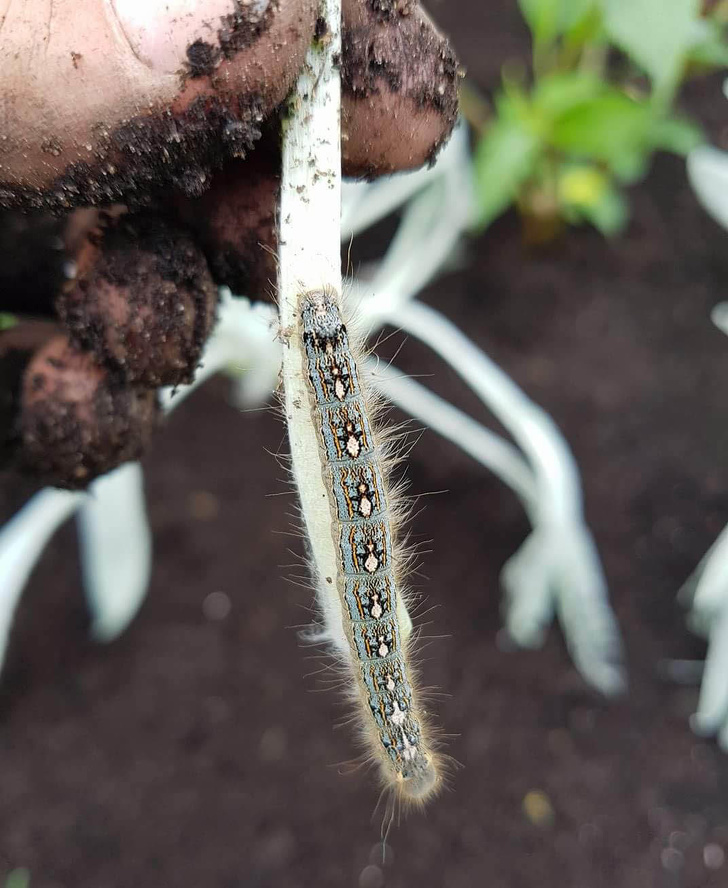 Illustration de l'article : Ces 20 phénomènes et situations liés au hasard de la vie