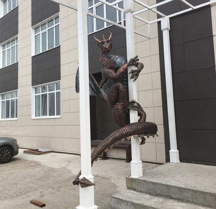 Illustration de l'article : Ces 13 photos qui montrent que l'on peut faire des découvertes tous les jours