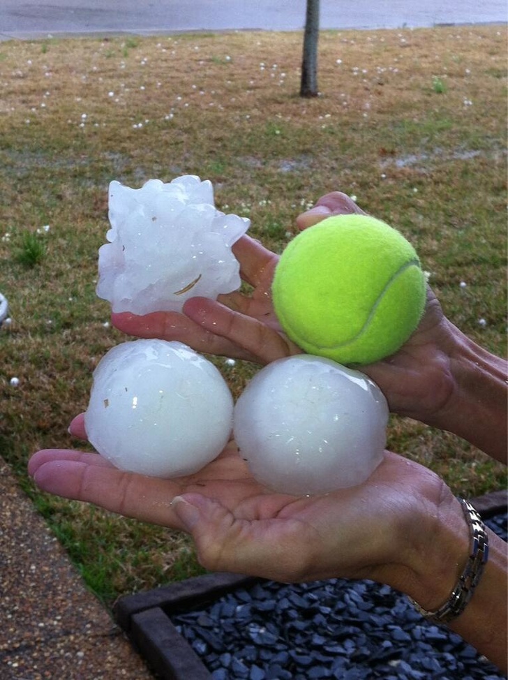 Illustration de l'article : Ces 18 curiosités d'une réalité bien particulière