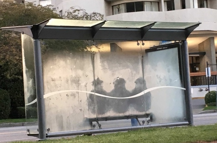 Illustration de l'article : Ces 22 photos qui réclament une attention particulière