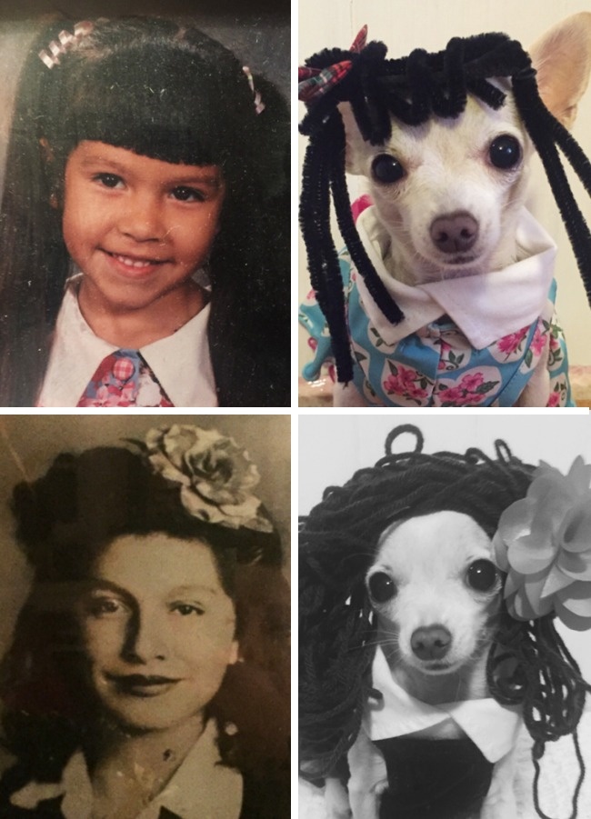 Illustration de l'article : Ces 21 photographies montrent l’absurdité de certaines situations