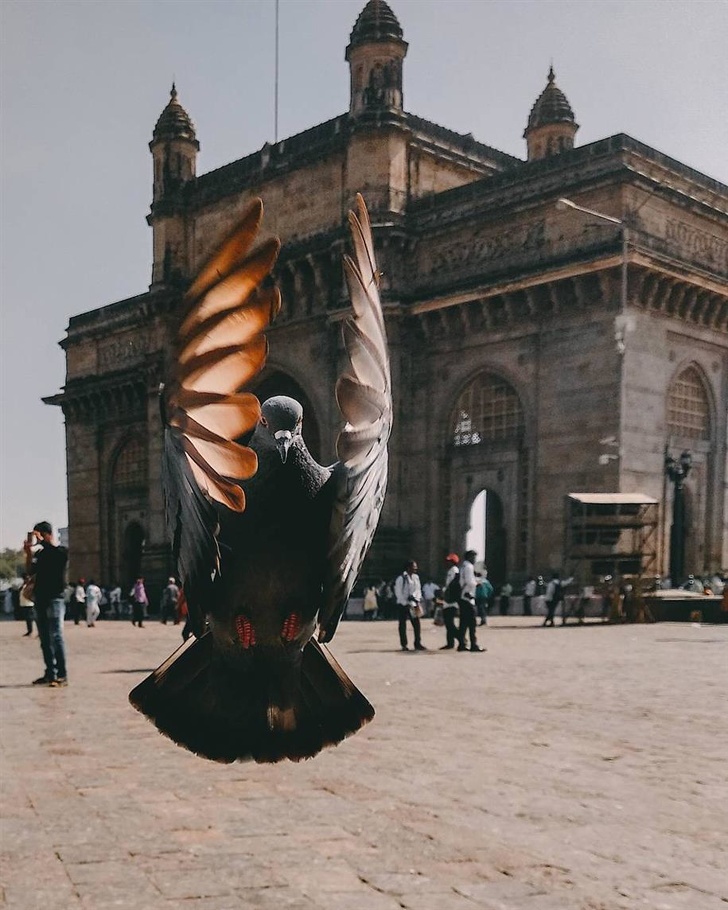 Illustration de l'article : Ces 26 curiosités qui montrent la diversité de notre monde