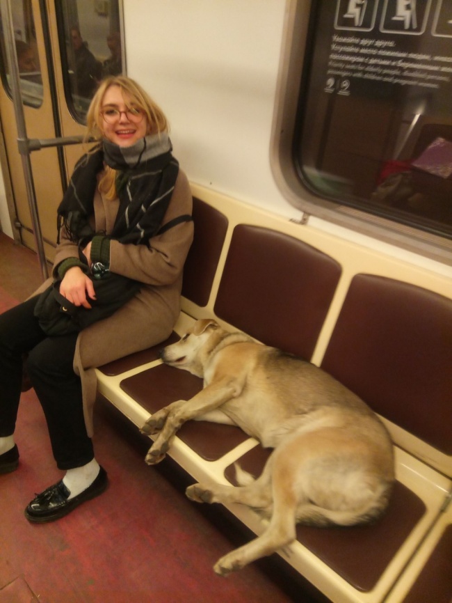 Illustration de l'article : 27 situations inattendues dans lesquelles se sont retrouvés certains animaux