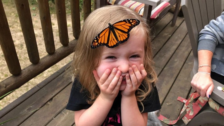 Illustration de l'article : Ces 24 photos qui montrent la joie de vivre