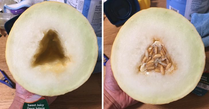 Illustration de l'article : Ces 16 photos qui illustrent la beauté et l'originalité de la nature