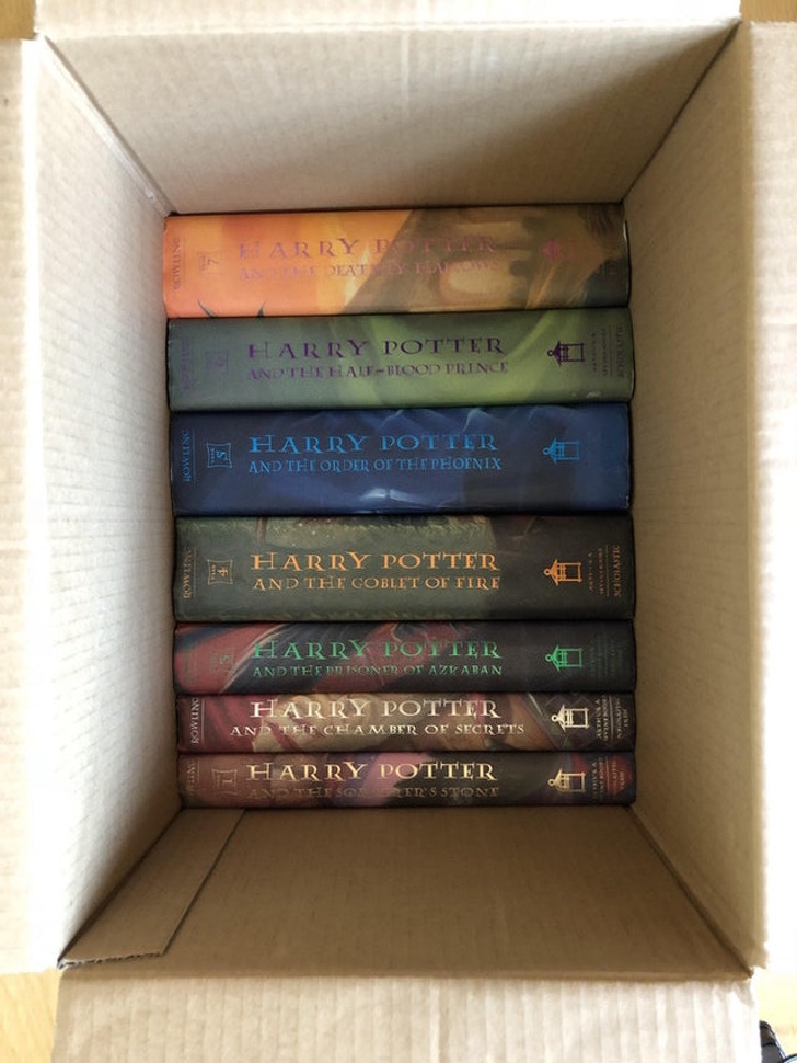 Illustration de l'article : Ces 22 situations n'avaient que peu de chance de se réaliser