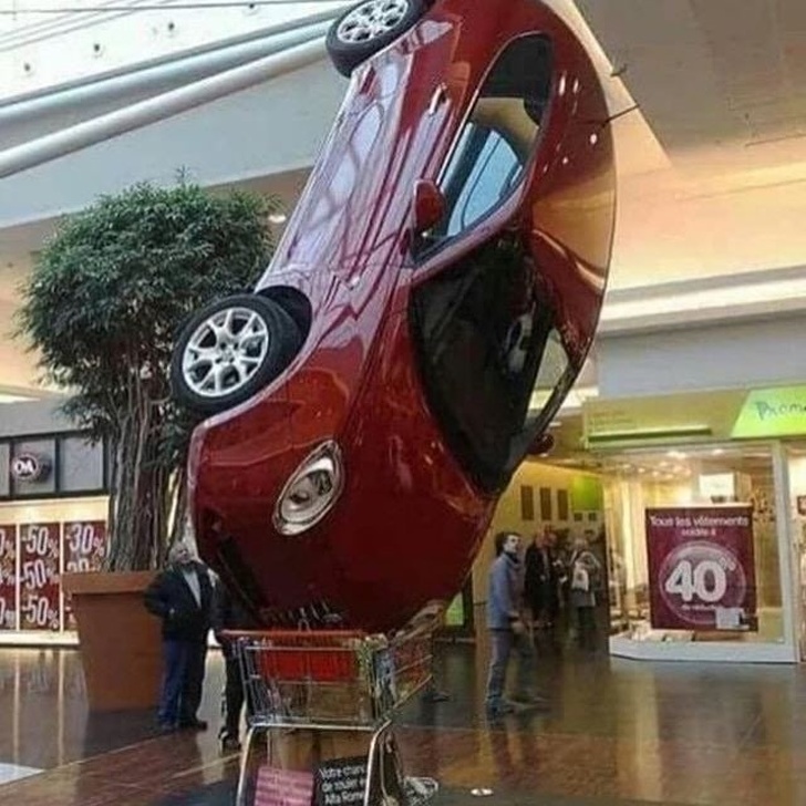 Illustration de l'article : Ces 24 images chanceuses prises au moment parfait