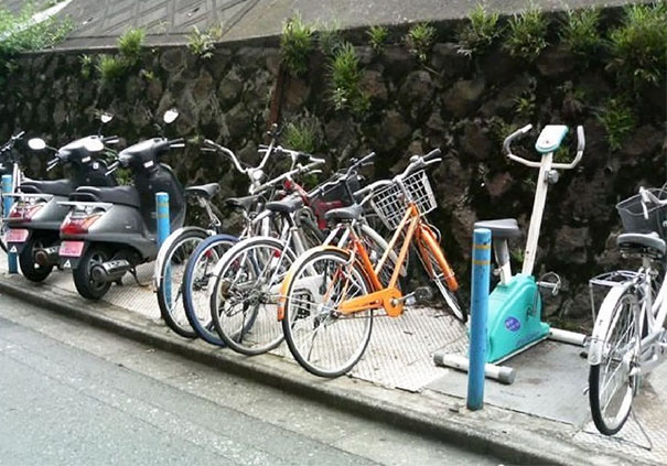 Illustration de l'article : Qui a vraiment le niveau pour trouver l'intrus sur ces 100 photos ? 