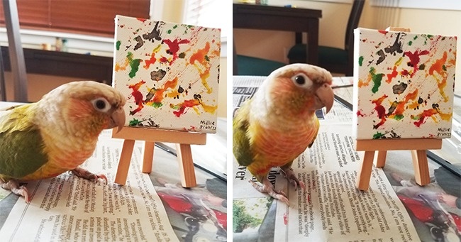 Illustration de l'article : 24 personnes qui ont eu des idées farfelues