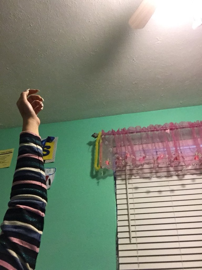 Illustration de l'article : Ces 21 choses bizarres que les humains font tous