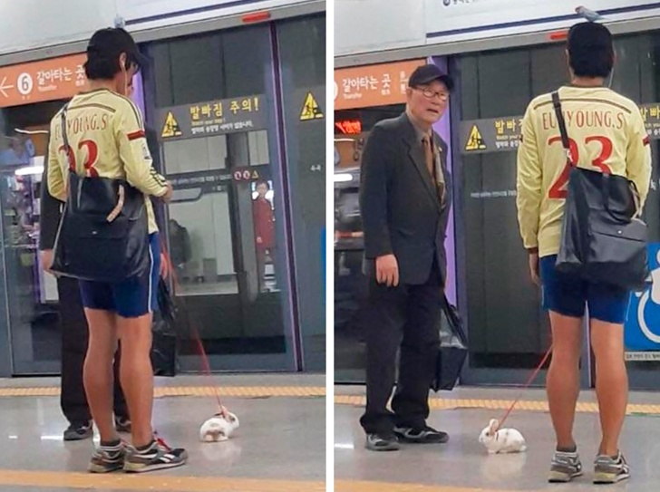 Illustration de l'article : Ces 15 choses de gens un peu fous qui prêtent à sourire