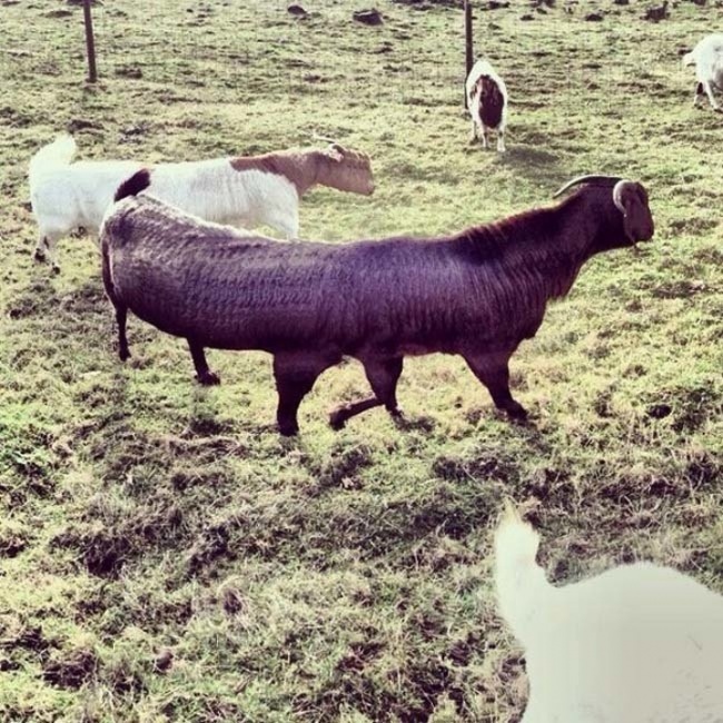 Illustration de l'article : 21 photos rat&eacute;es prises avec le mode panoramique de vos smartphones