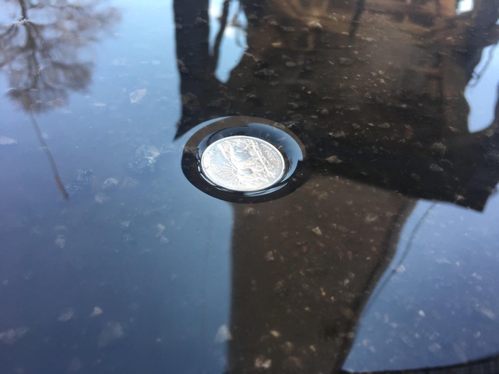 Illustration de l'article : Ces 20 photos qui s'approchent de la perfection