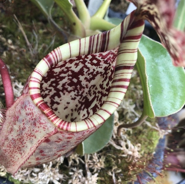 Illustration de l'article : Ces 15 curiosités qui montrent qu'on ne connait pas tout